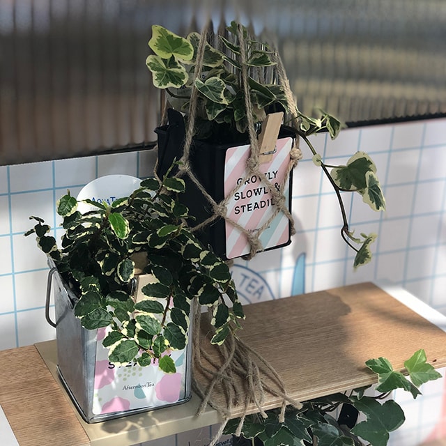 いよてつ高島屋店でプラントハンガーづくりのワークショップを開催!