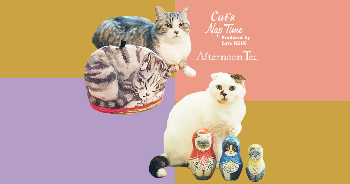 2 19 Start Cat S Naptime シリーズ第5弾が登場 Afternoon Tea