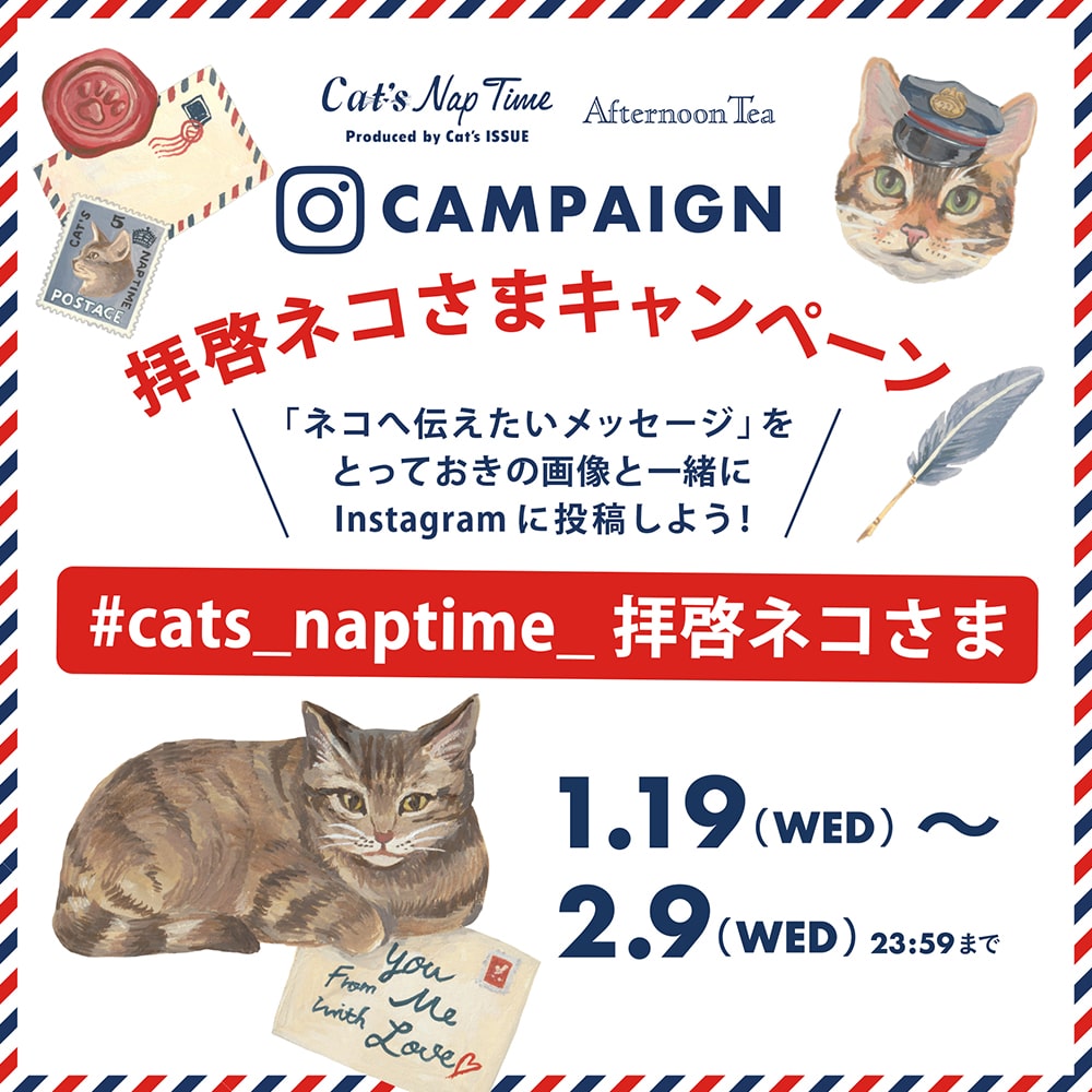 2/9～Cat's NapTimeの第7弾スタート！「手紙」をキーワードにした