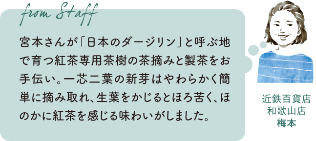 宮本さんが「日本のダージリン」と呼ぶ地で育つ紅茶専用茶樹の茶摘みと製茶をお手伝い。一芯二葉はやわらかく簡単に摘み取れ、生葉をかじるとほろ苦く、ほのかに紅茶を感じる味わいがしました。