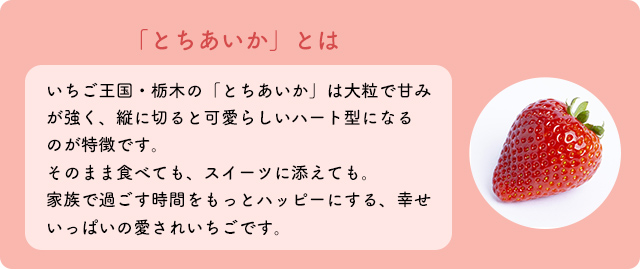 「とちあいか」とは…いちご王国・栃木の「とちあいか」は大粒で甘みが強く、縦に切ると可愛らしいハート型になるのが特徴です。そのまま食べても、スイーツに添えても。家族で過ごす時間をもっとハッピーにする、幸せいっぱいの愛されいちごです。