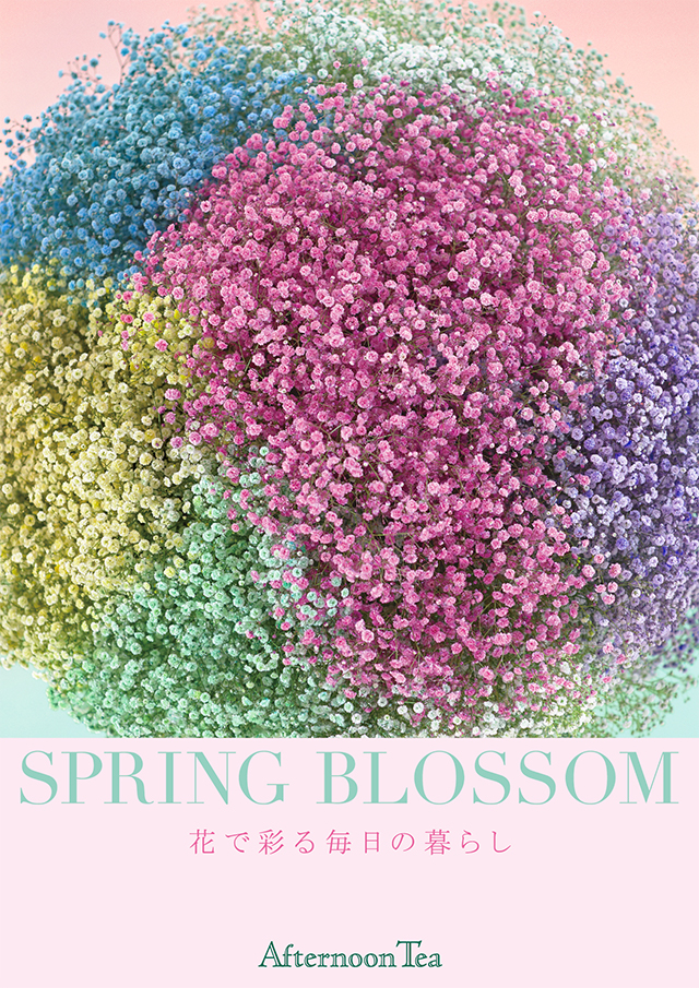SPRING BLOSSOM