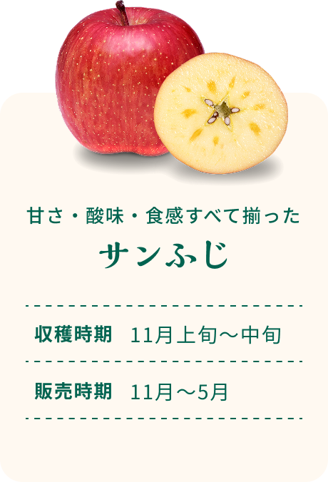 甘さ・酸味・食感すべて揃った サンふじ 収穫時期11月上旬～中旬 販売時期11月～5月