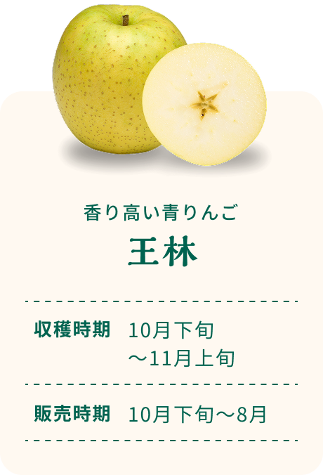 香り高い青りんご 王林 収穫時期10月下旬～11月上旬 販売時期10月下旬～8月