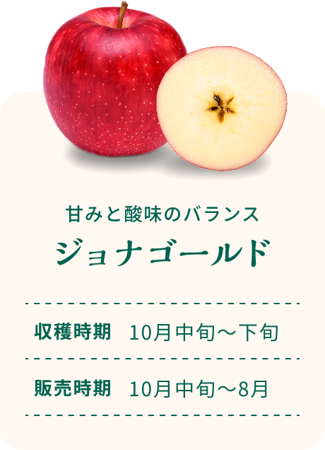 甘みと酸味のバランス ジョナゴールド 収穫時期10月中旬～下旬 販売時期10月中旬～8月