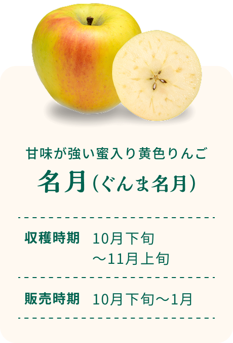 甘味が強い蜜入り黄色りんご 名月（ぐんま名月） 収穫時期10月下旬～11月上旬 販売時期10月下旬～1月