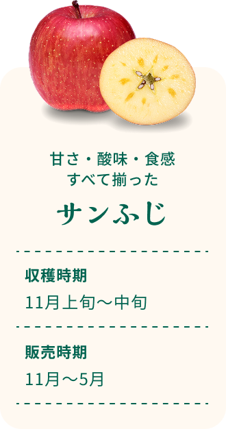 甘さ・酸味・食感すべて揃った サンふじ 収穫時期11月上旬～中旬 販売時期11月～5月
