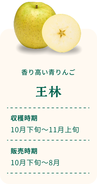 香り高い青りんご 王林 収穫時期10月下旬～11月上旬 販売時期10月下旬～8月