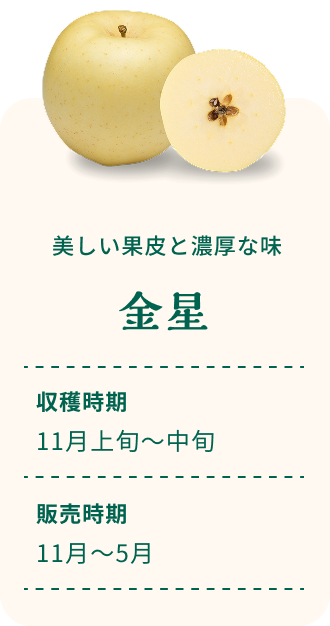 美しい果皮と濃厚な味 金星 収穫時期11月上旬～中旬 販売時期11月～5月